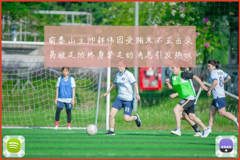 前泰山主帅郝伟因受贿及不正当交易被足协终身禁足的消息引发热议