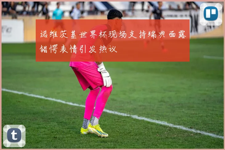 诺维茨基世界杯现场支持瑞典面露错愕表情引发热议